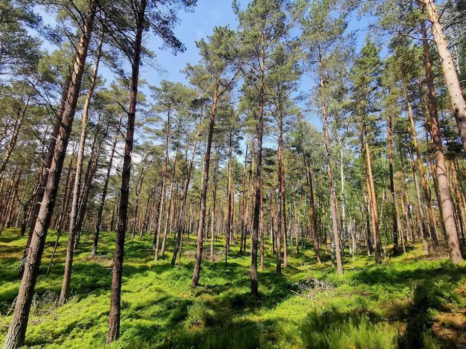 Campolohel- Przyczepa Kempingowa Exteriör bild